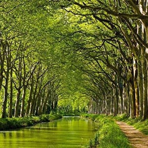 Wotif_canaldumidi
