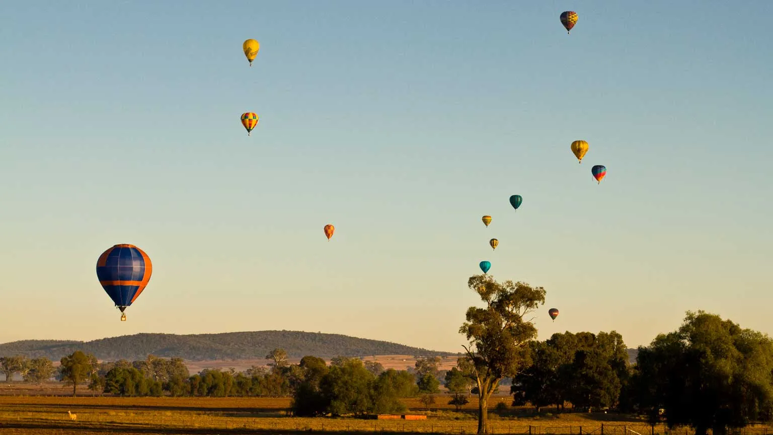 Australian Hot Air Ballooning Championship held in Canowindra, and it shows balloons approaching one of designated targets during morning flight.