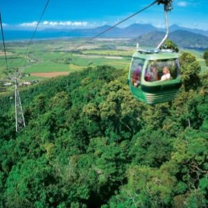 Image: experienceoz Skyrail Rainforest Cableway
