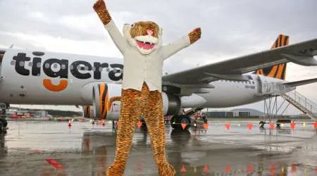 Tigerairjump_450