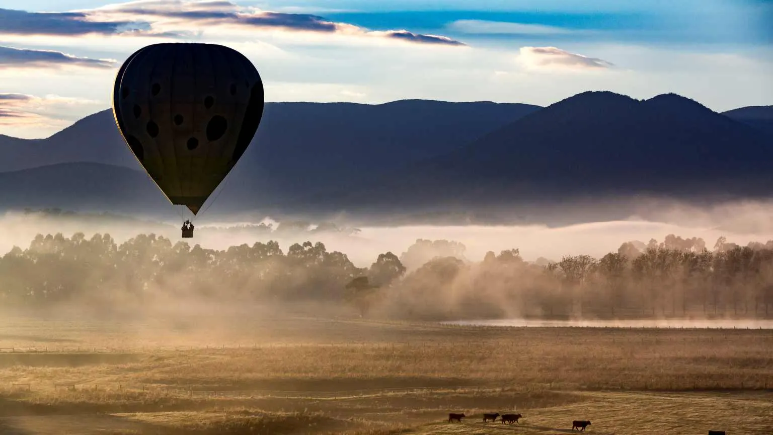 Hot air ballooning is a popular activity for visitors to the Yarra Valley, one of Victoria's wine growing regions.  Passengers on winter flights are often rewarded with wonderfully misty mornings.