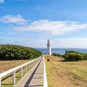 Footpath Leading To Cape Otway Lighthouse