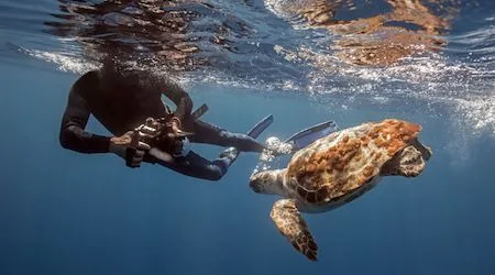 A scuba diver taking a photo of a turtle
