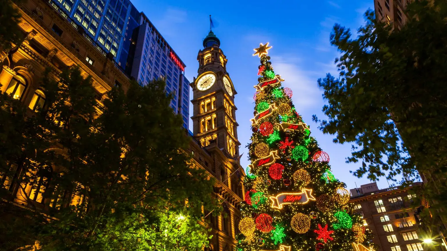 Christmas tree & clock tower in Martin Place