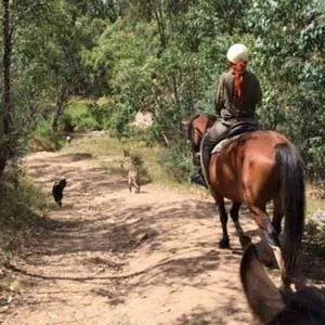 Horse Riding Trail