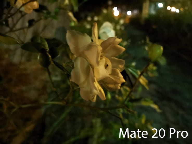 Huawei Mate 20 Pro Sample Image: Alex Kidman/Finder