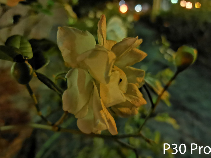 Huawei P30 Pro Sample Image: Alex Kidman/Finder
