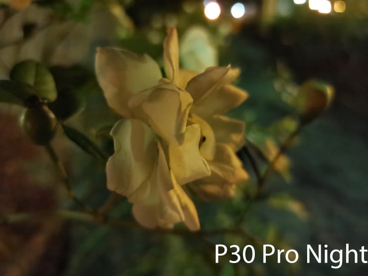 Huawei P30 Pro Sample Image: Alex Kidman/Finder