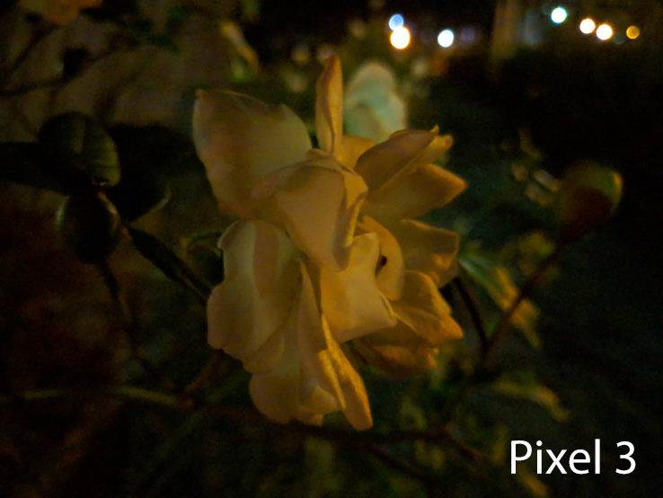 Pixel 3 Sample Image: Alex Kidman/Finder