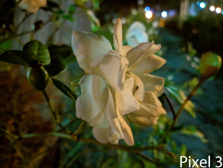 Pixel 3 Sample Image: Alex Kidman/Finder