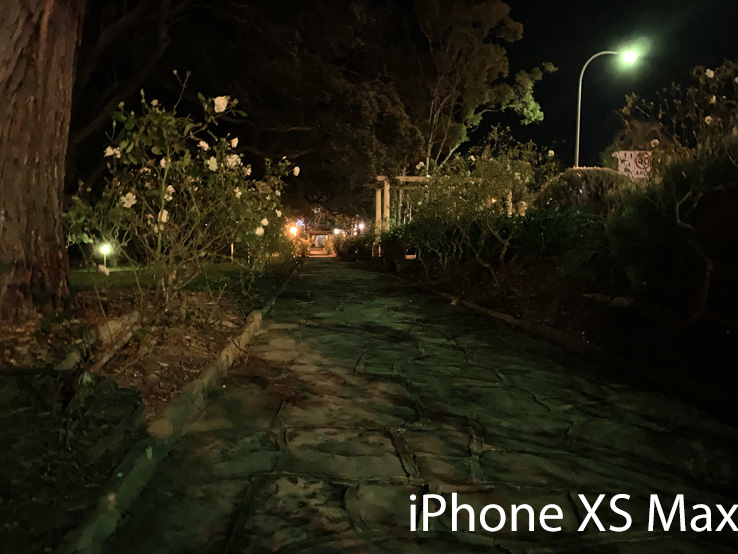 iPhone XS Max Sample Image: Alex Kidman/Finder