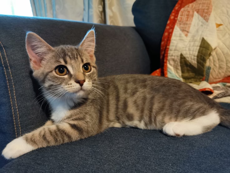 Huawei P30 Sample Photo Image: Alex Kidman/Finder
