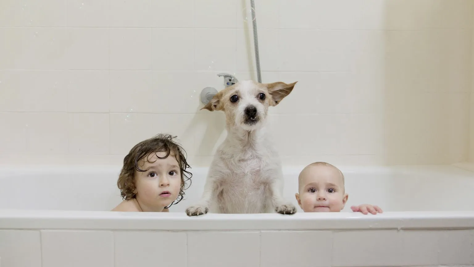 Two young kids and a dog poking their heads out of a bathtub