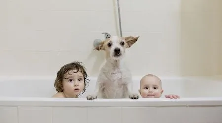 Two young kids and a dog poking their heads out of a bathtub