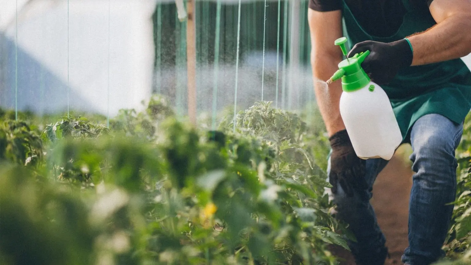 Man working in the garden