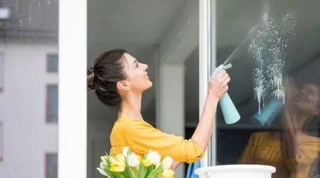 Smiling woman at home cleaning the window