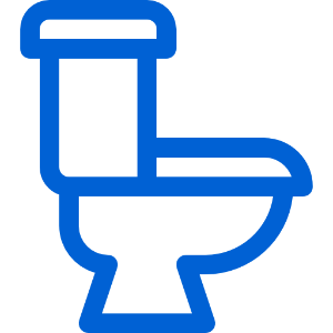 Toilet cleaners icon
