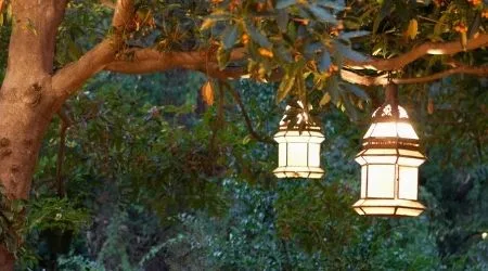 Couple relaxing in garden at twilight 