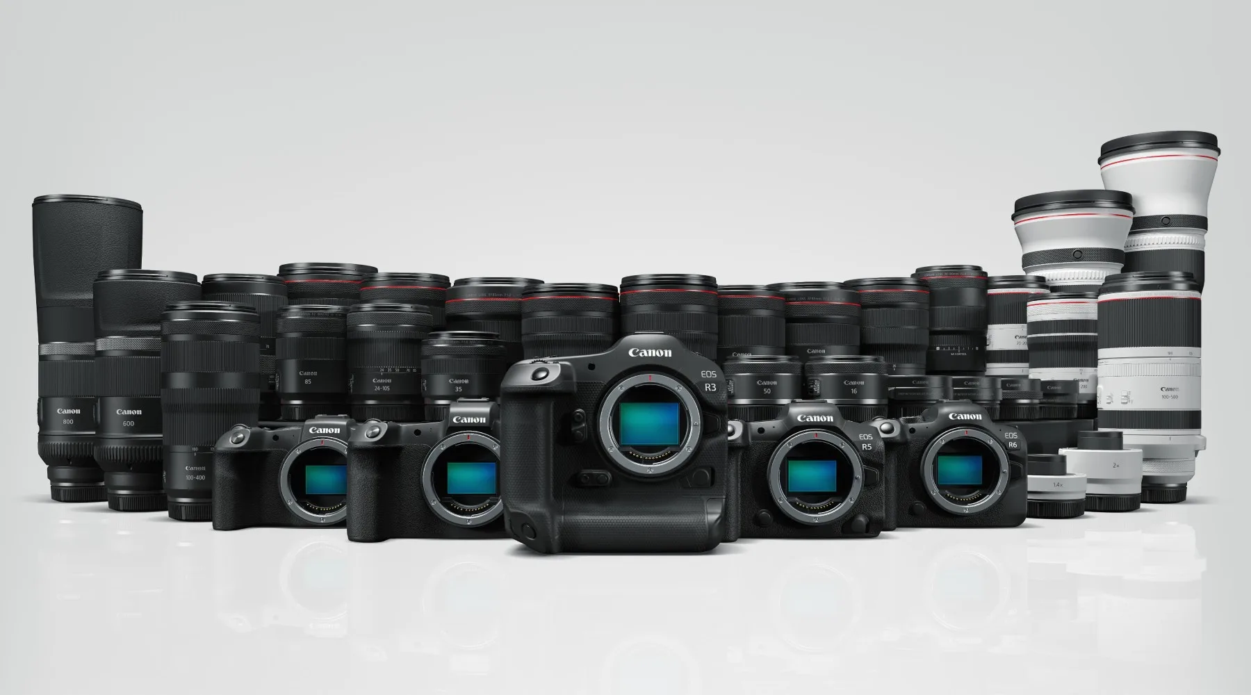 Image: Supplied Canon R3 5