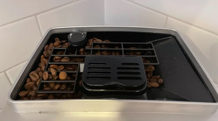 De'Longhi Magnifica S review - in its case