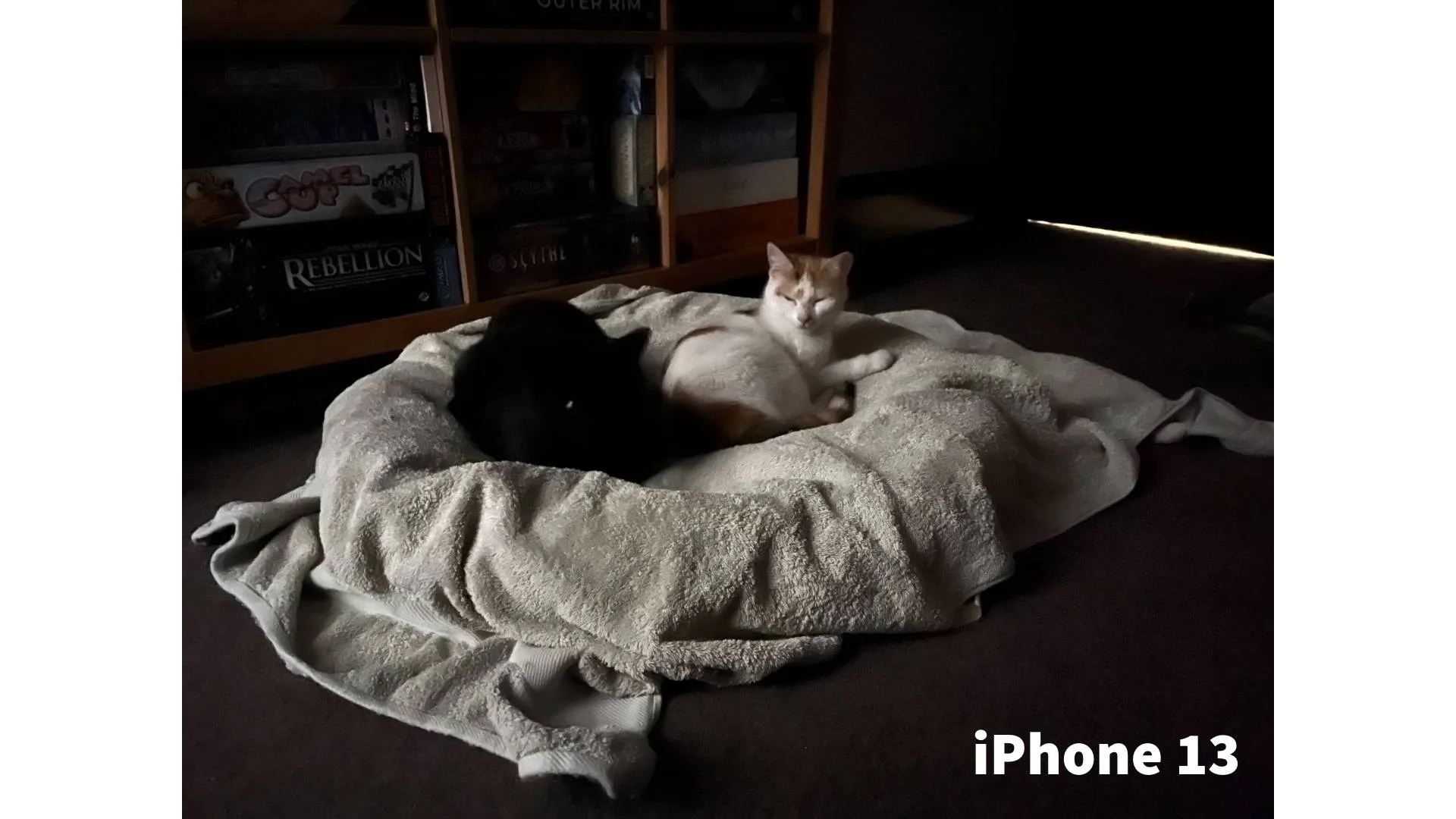 Picture not described