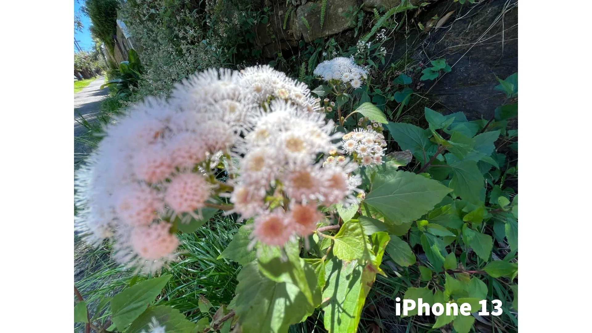 Picture not described