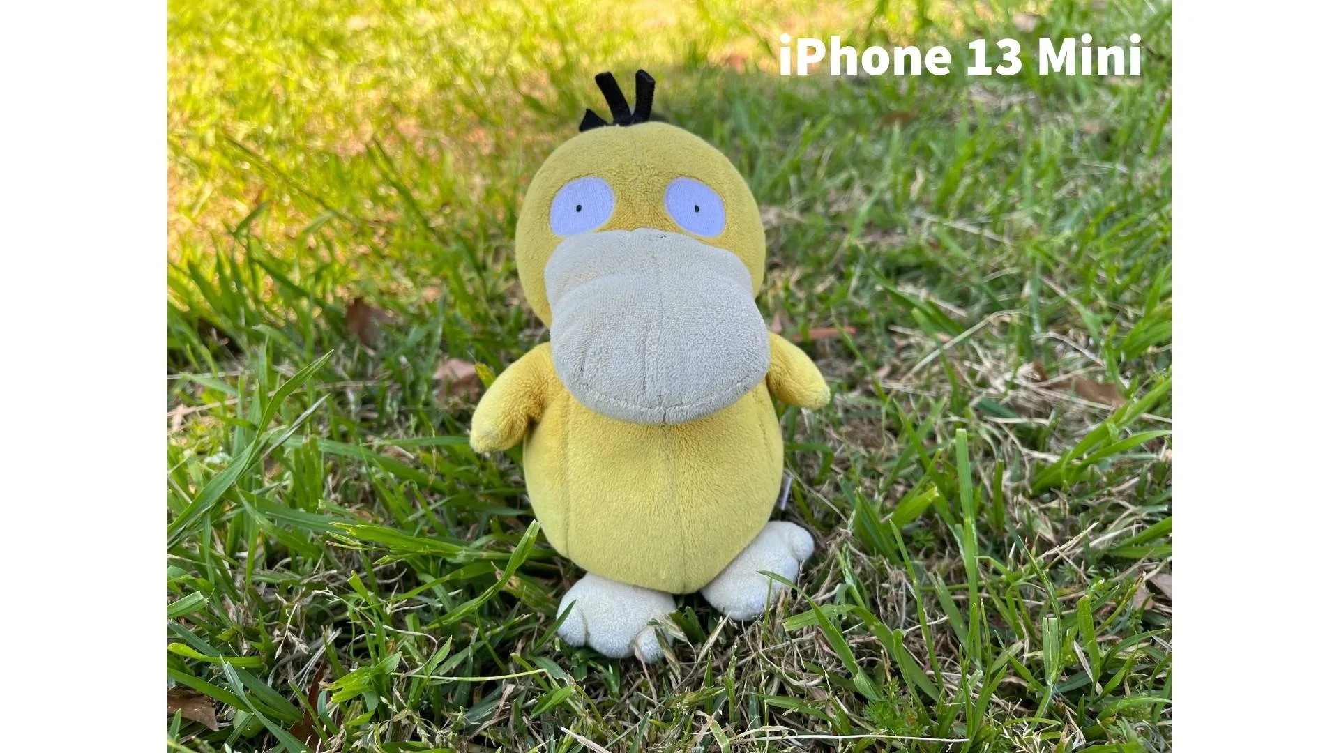 Picture not described