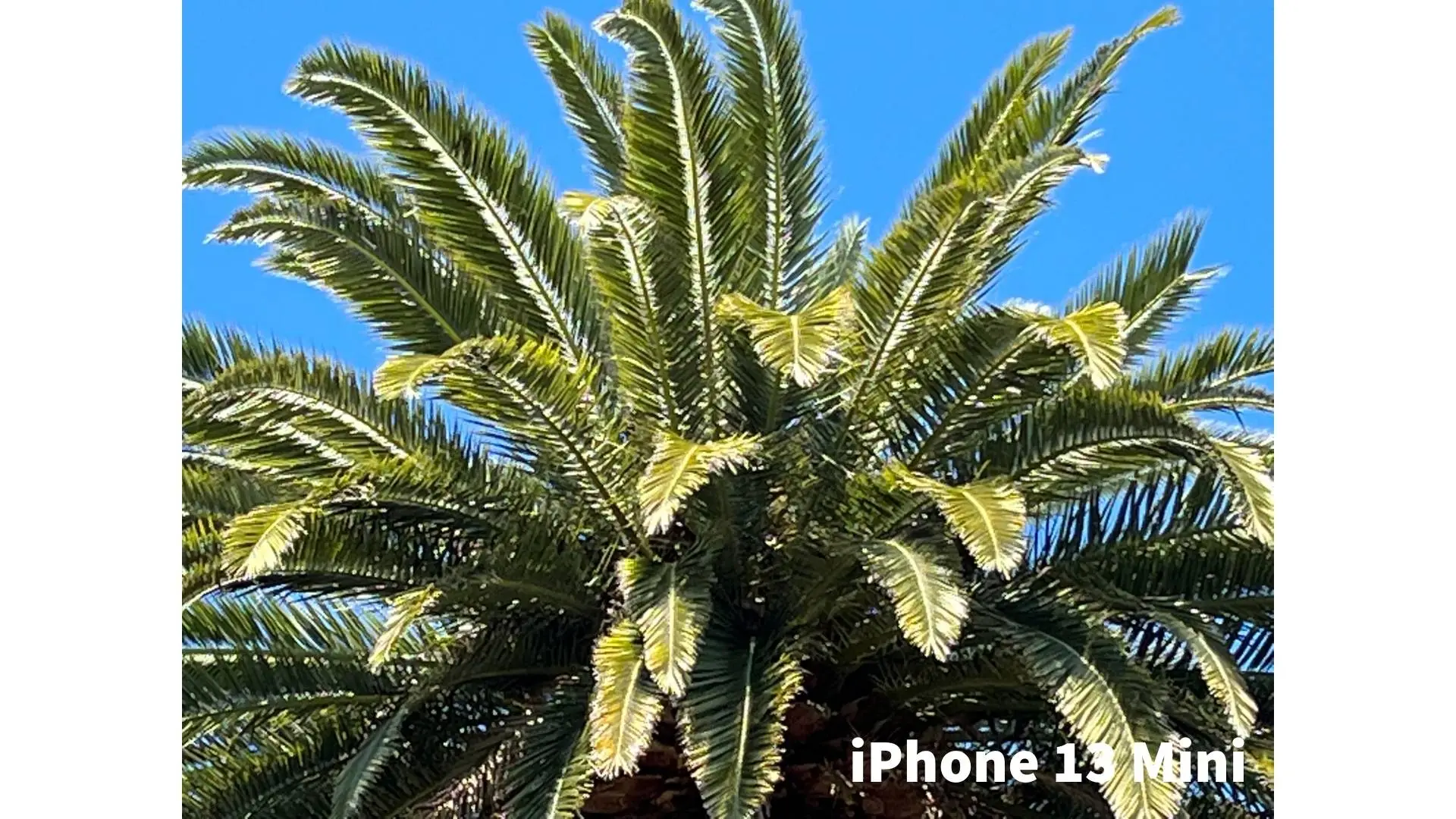 Picture not described