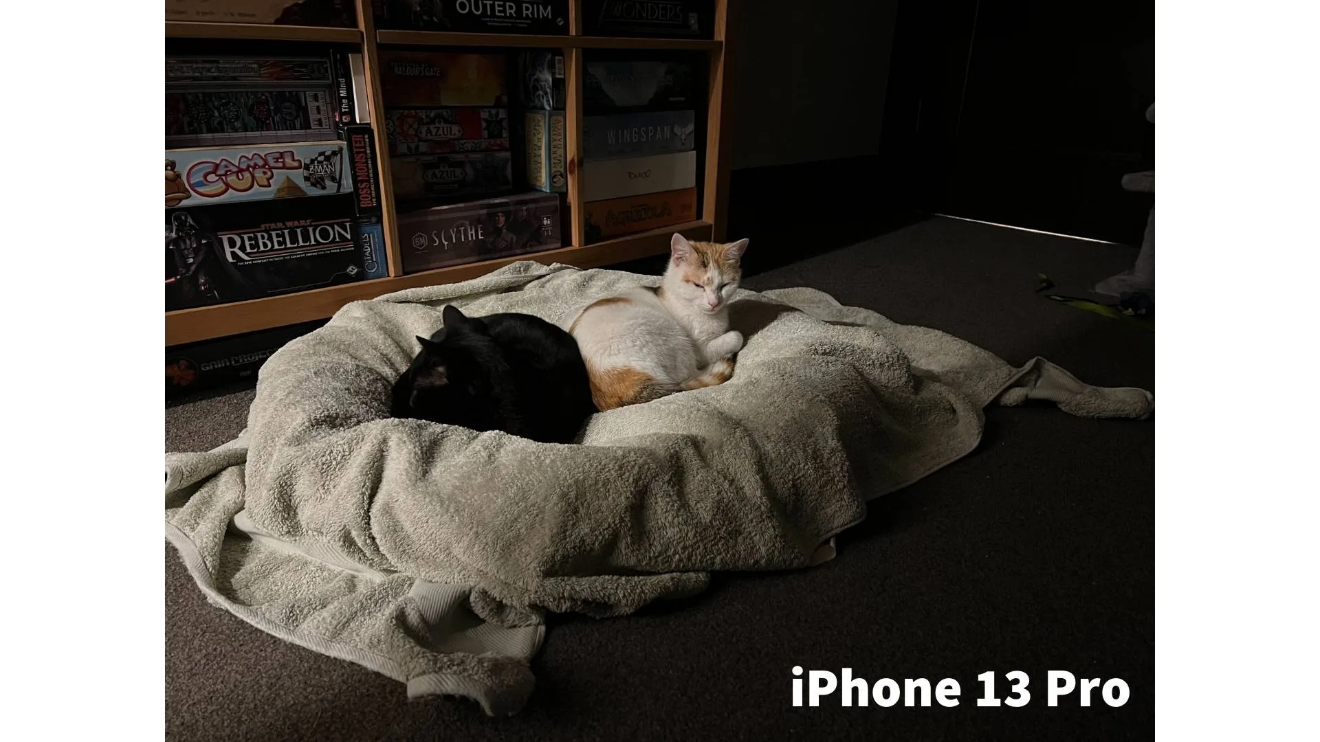 Picture not described