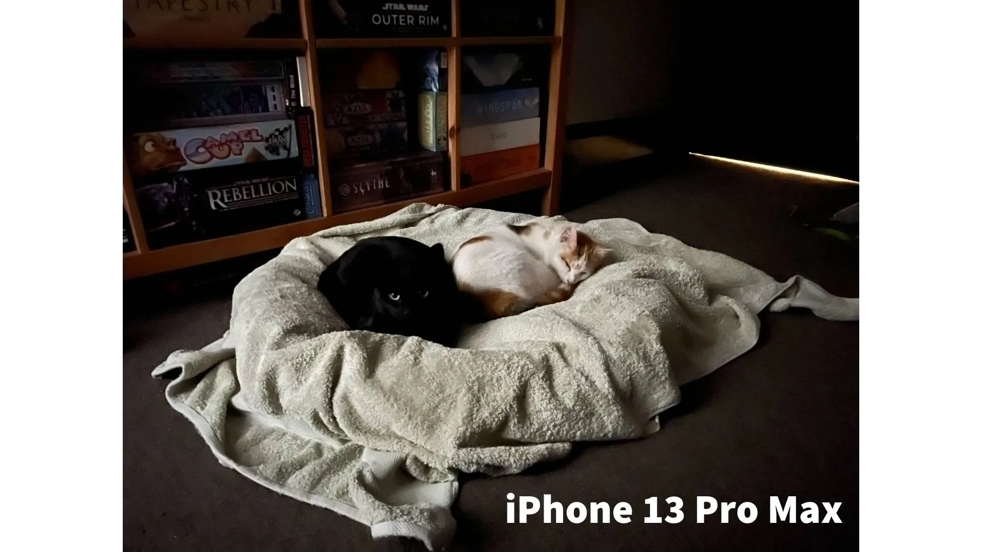 Picture not described