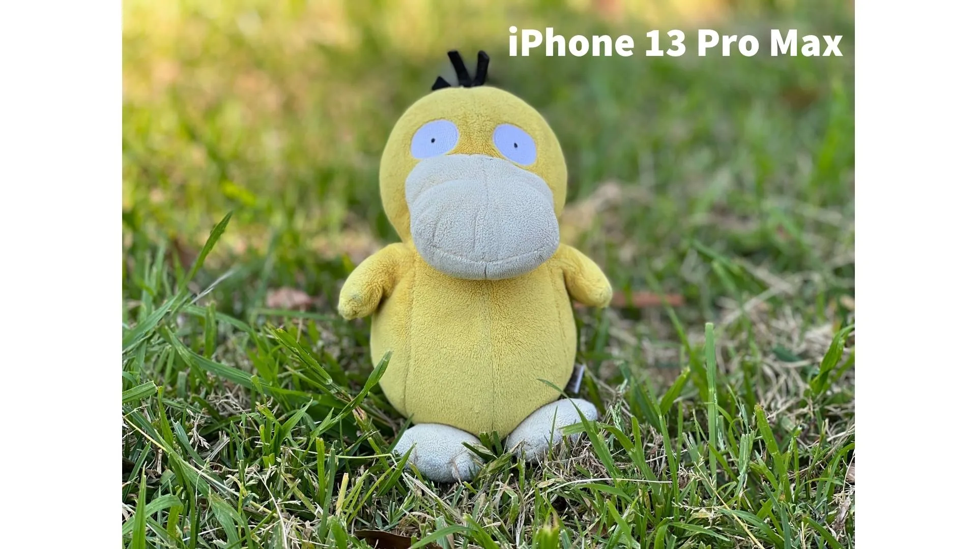 Picture not described