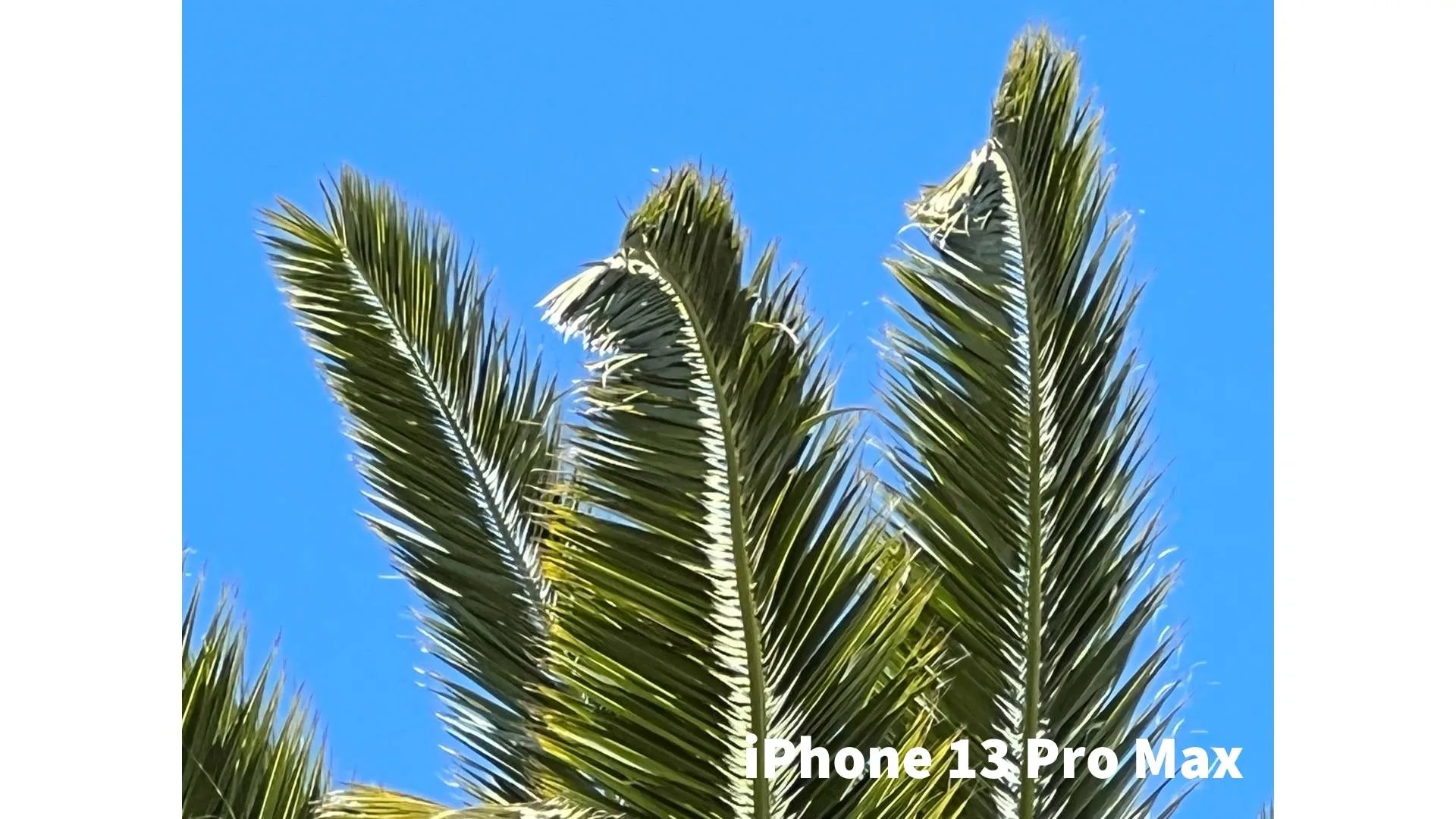 Picture not described