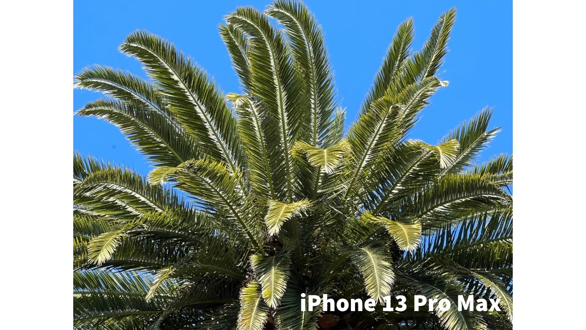 Picture not described