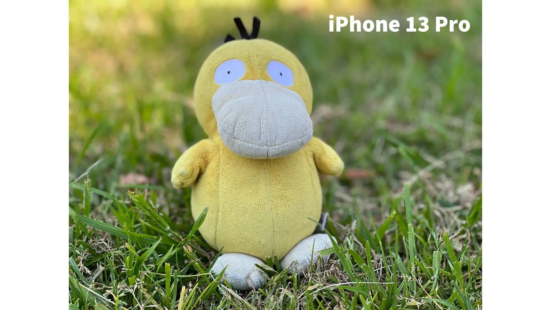 Picture not described