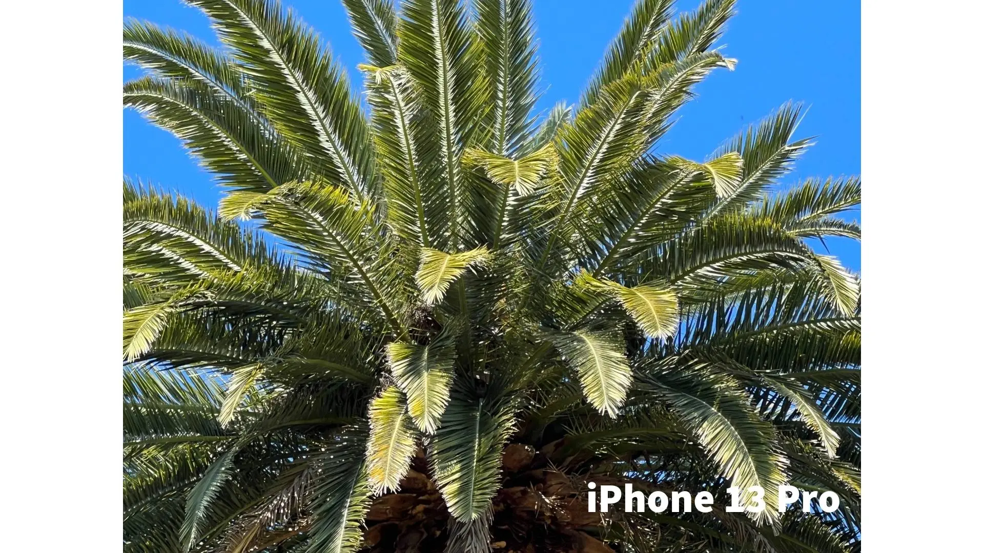 Picture not described