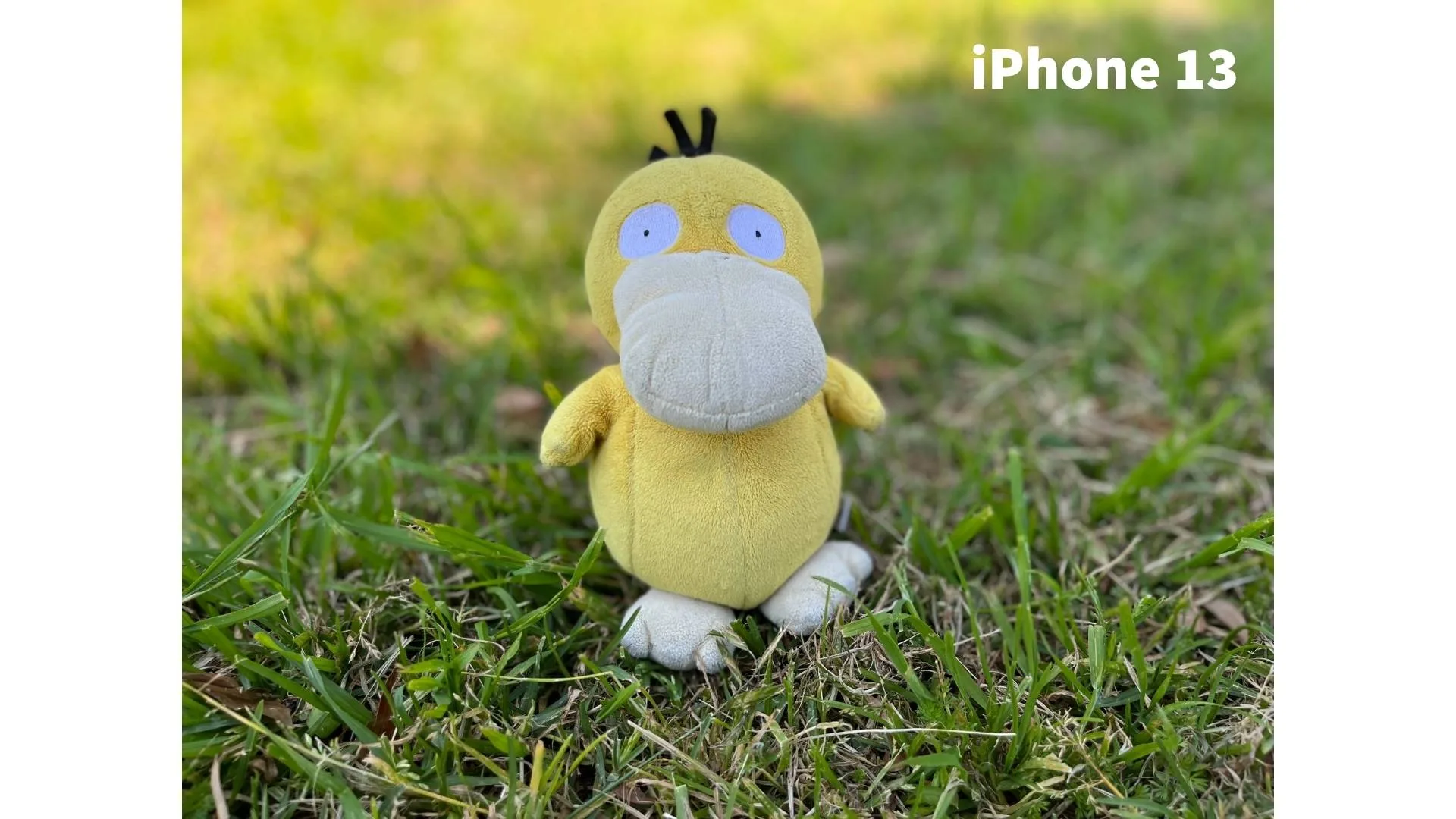 Picture not described