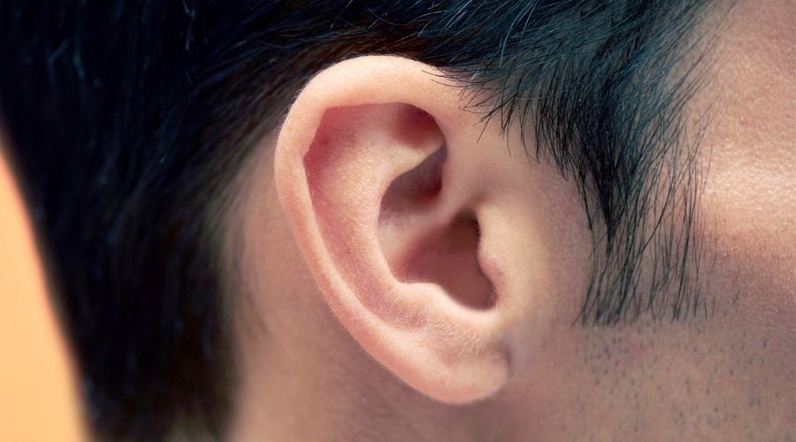 Earphones vs headphones