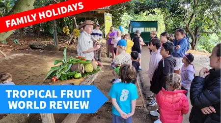 Tropical Fruit World review