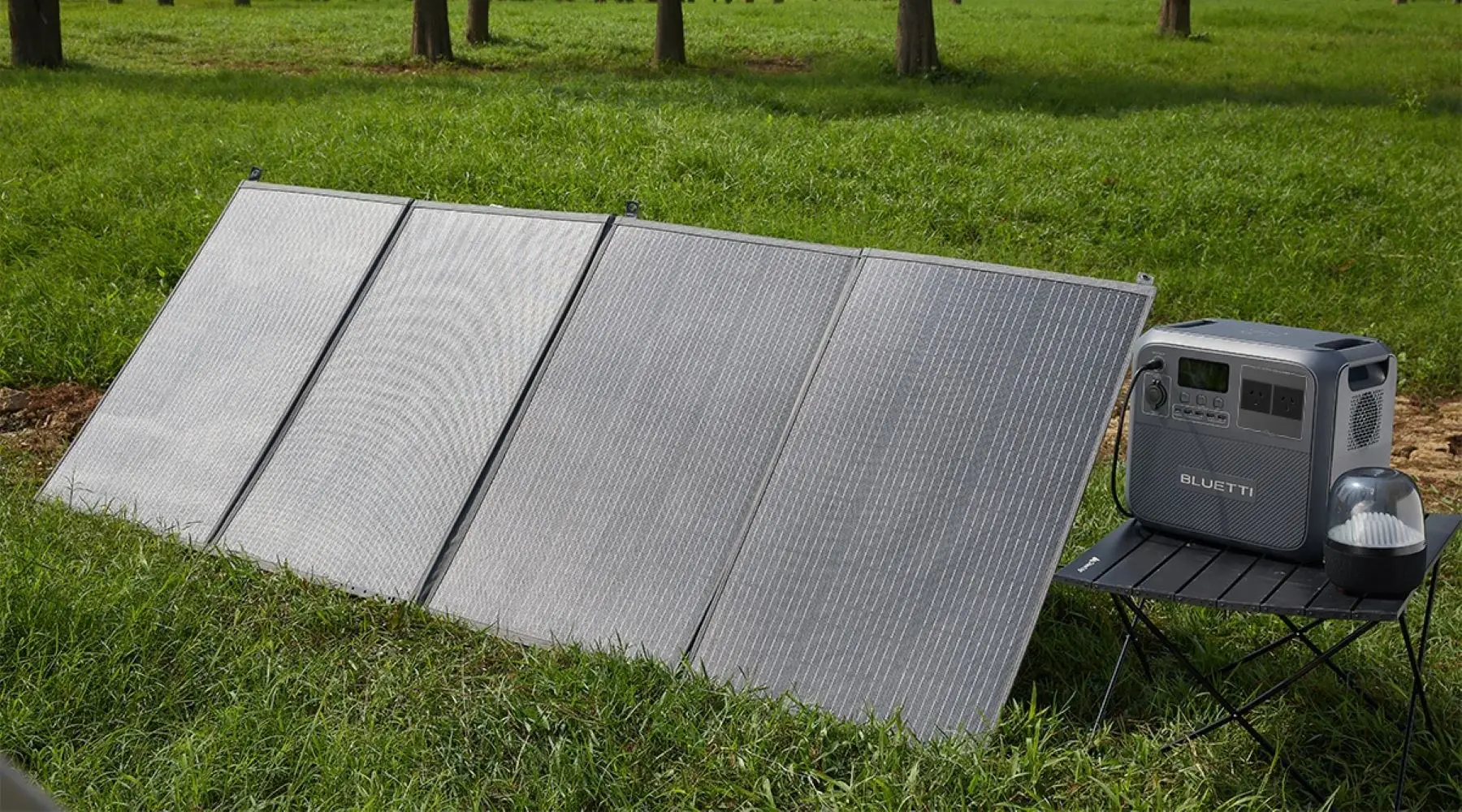 Picture not described