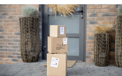 Porch pirate statistics