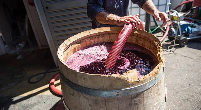 Wine Blending Session with Head Winemaker - Sydney