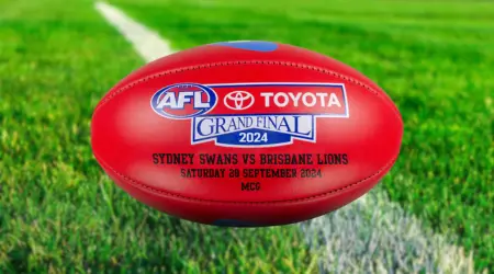 How to watch AFL 2024 live and free online Finder Shopping