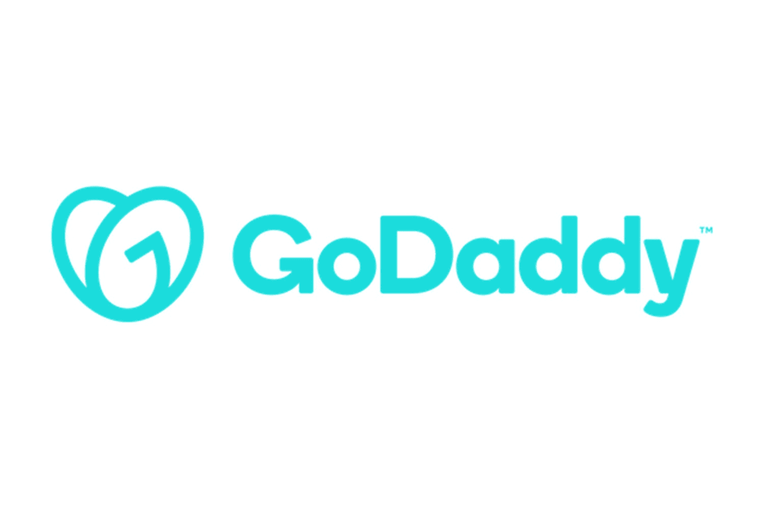 GoDaddy building software