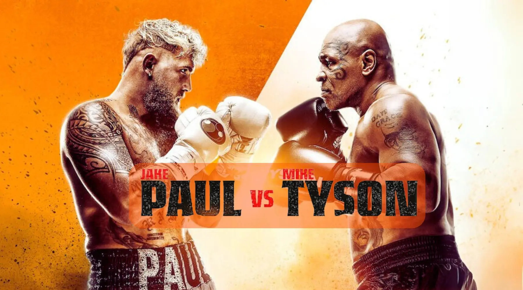 Paul vs Tyson_Supplied_1800x1000