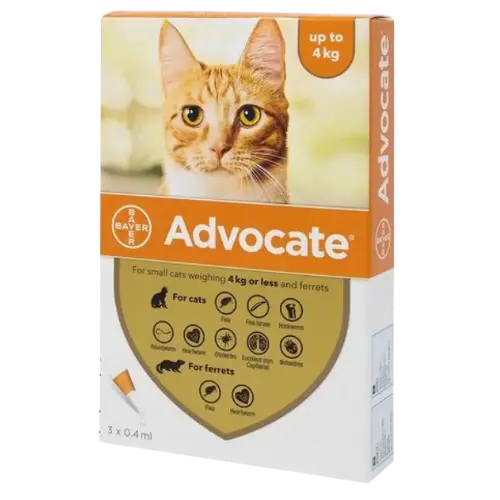 Advocate for Cats