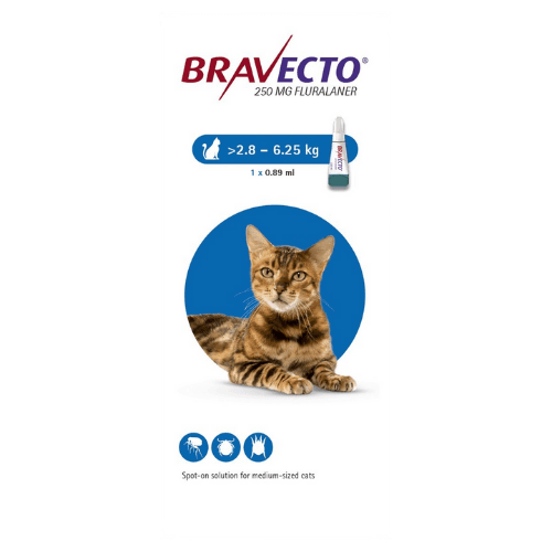 Bravecto Spot on for cats