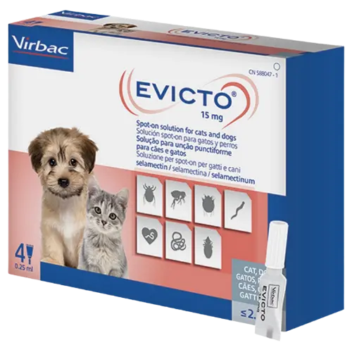 Evicto for cats