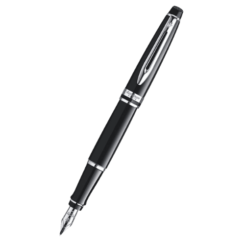 Waterman Expert Fountain Pen