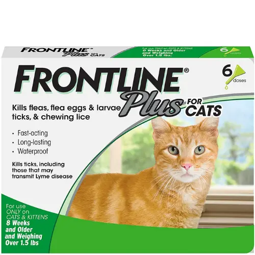 Frontline Plus flea and tick treatment for cats