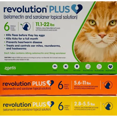 Revolution Plus